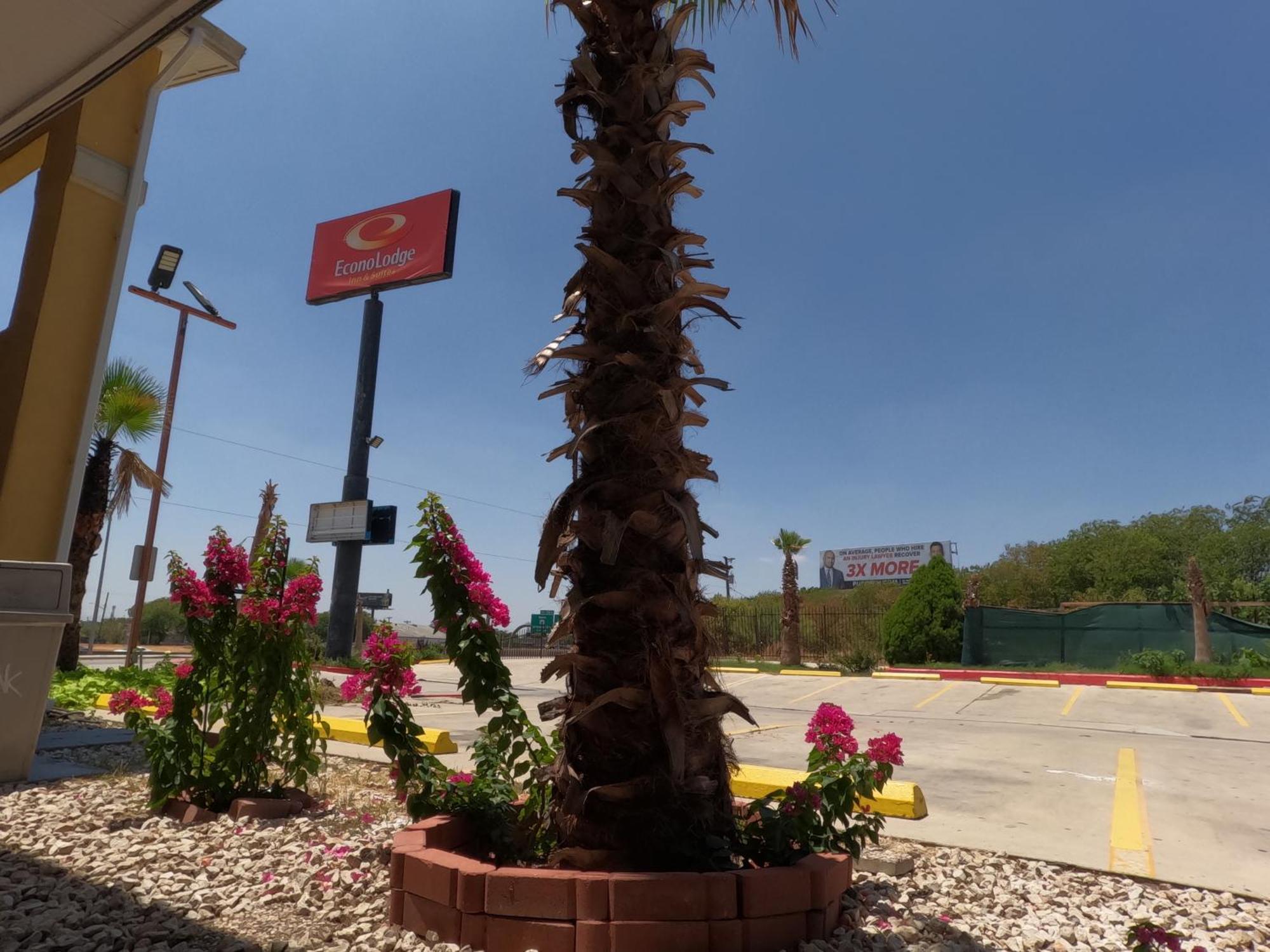 Econo Lodge Inn & Suites Downtown Northeast Near Fort Sam Houston San Antonio Esterno foto